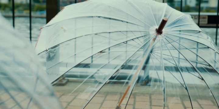 ホワイトローズ